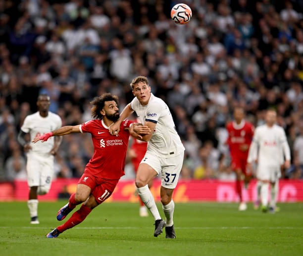 他们不仅是 他们不仅是