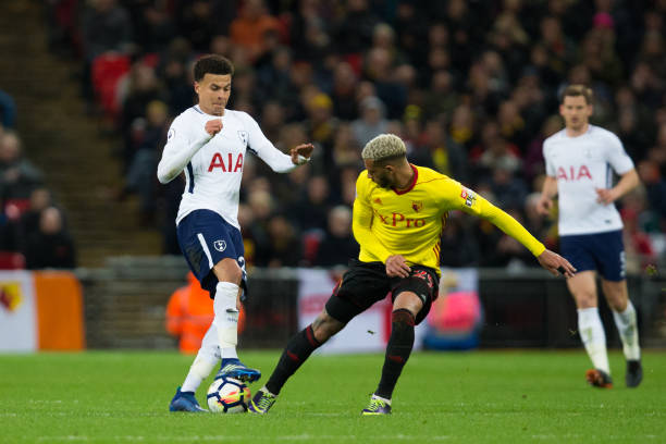 光灯下的焦 光灯下的焦